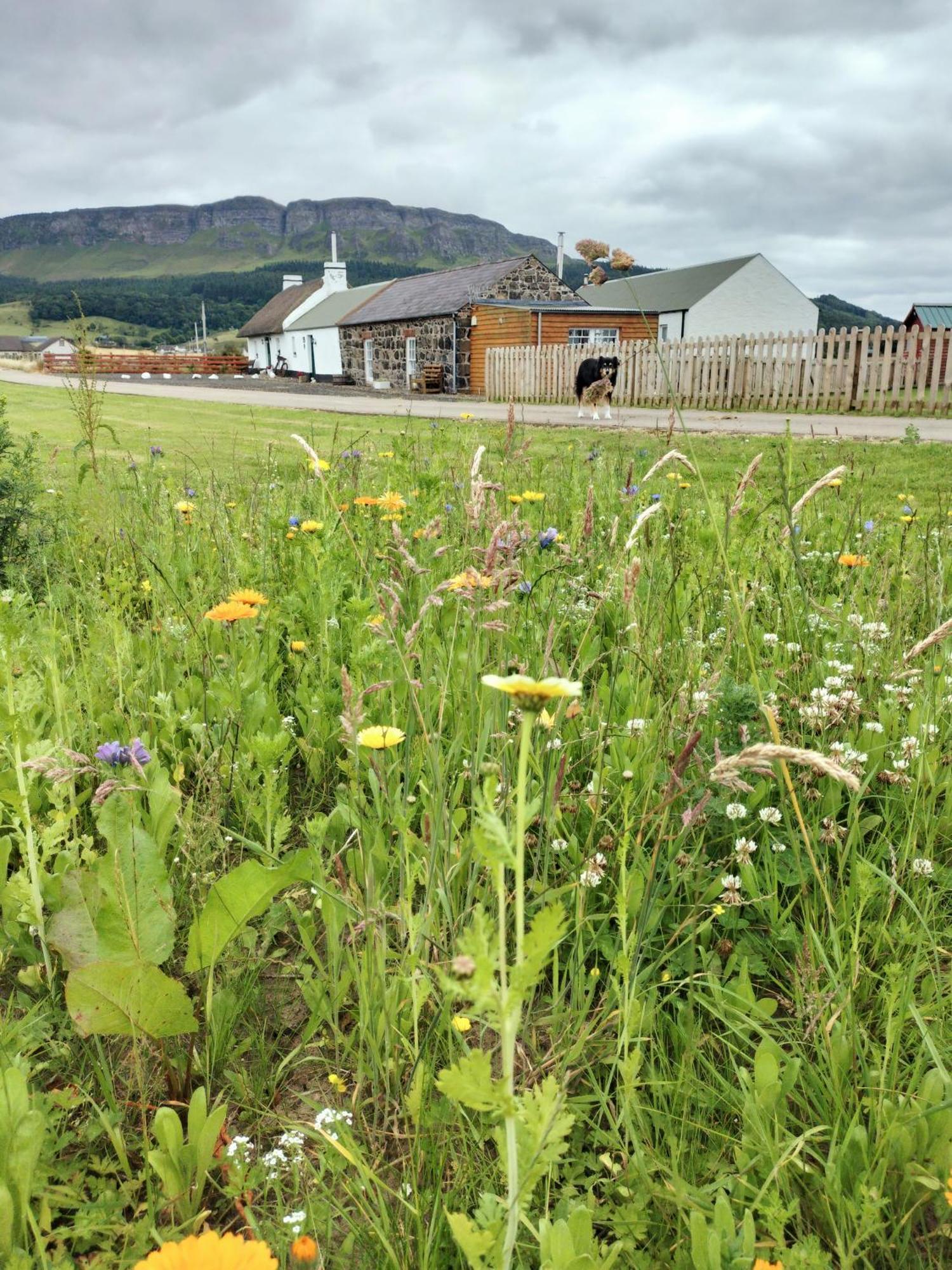 Ballymultimber Cottages - Mountain Views Near Beach Limavady Esterno foto